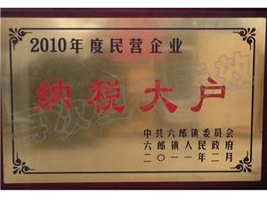 2010年納稅大戶